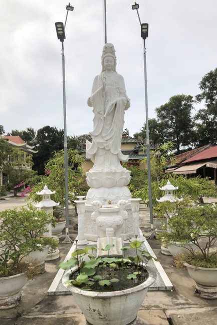 Quỹ Đào Tạo Tăng Tài Ngộ Chân Tử