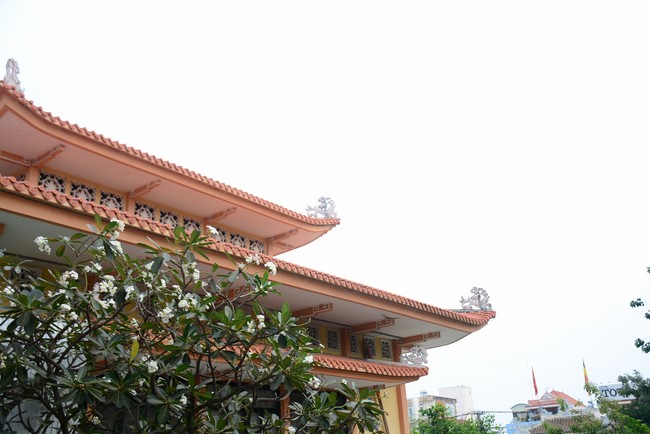 Quỹ Đào Tạo Tăng Tài Ngộ Chân Tử