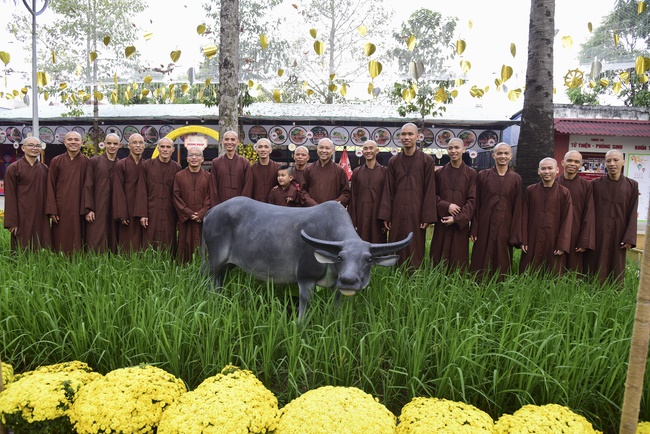 Welcome the Spring beside the Master