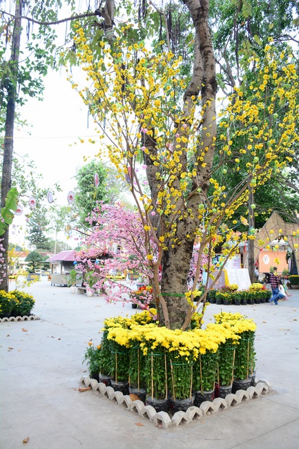 Welcome the Spring beside the Master