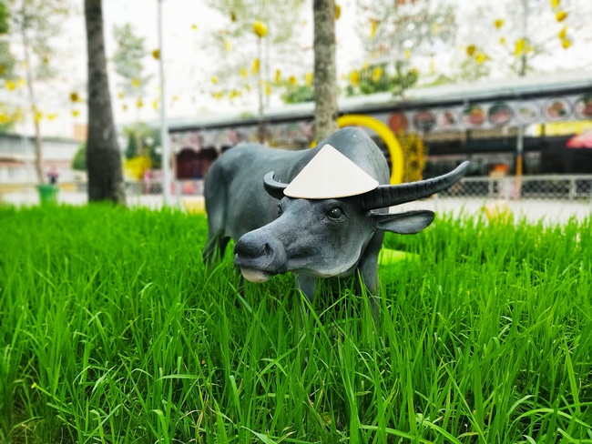 Welcome the Spring beside the Master