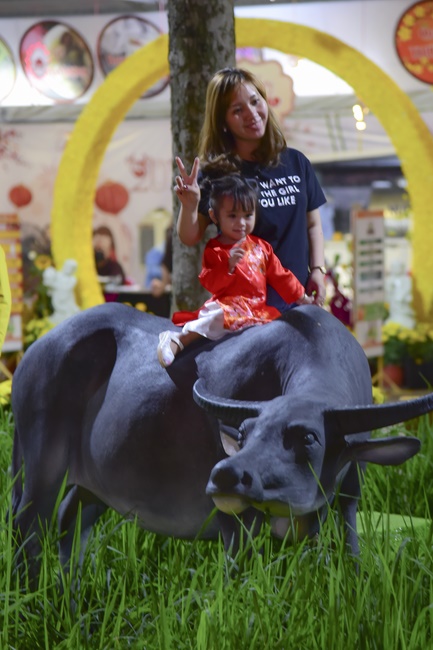 Welcome the New Year’s Eve of the Buffalo Year