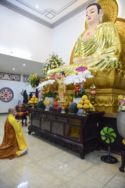 Welcome the New Year’s Eve of the Buffalo Year