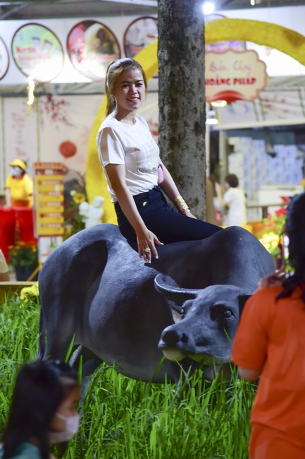 Welcome the New Year’s Eve of the Buffalo Year