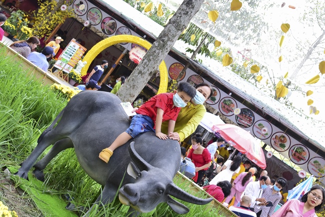 Series of photos on the first day of Lunar New Year