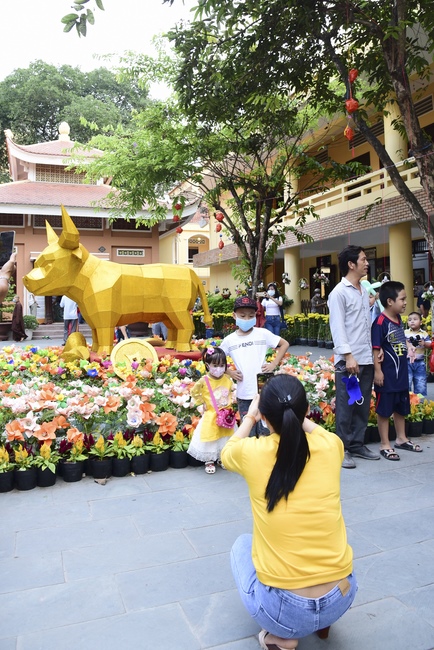 Series of photos on the first day of Lunar New Year