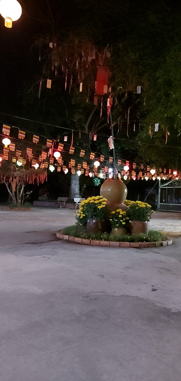 Ngày đầu xuân chùa An Hương, An Giang