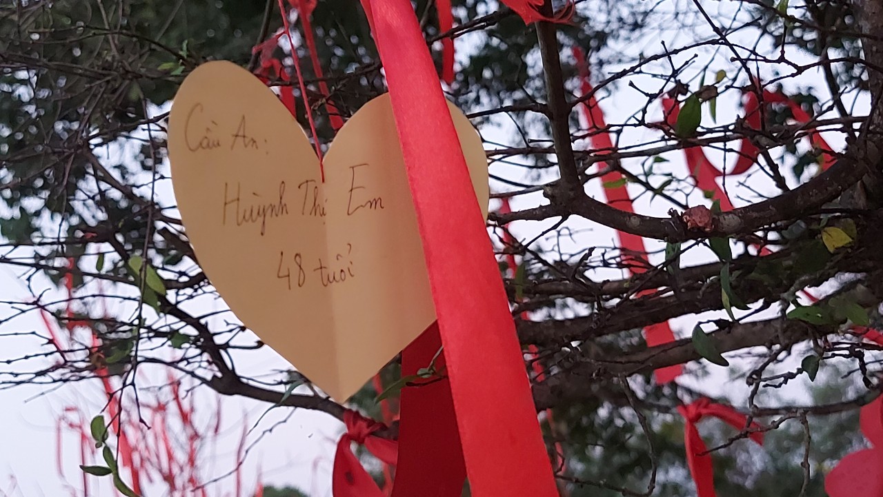 Ngày đầu xuân chùa An Hương, An Giang