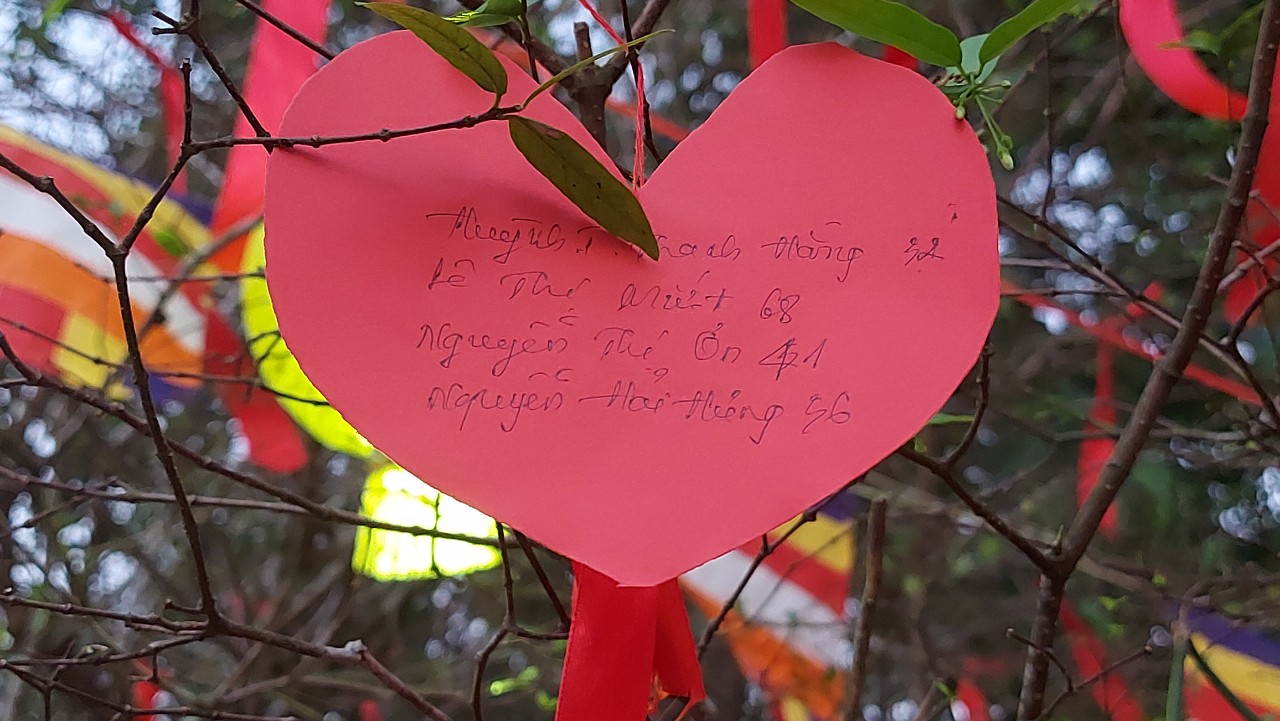 Ngày đầu xuân chùa An Hương, An Giang