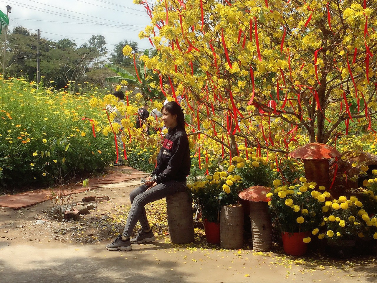 Ngày đầu xuân chùa An Hương, An Giang