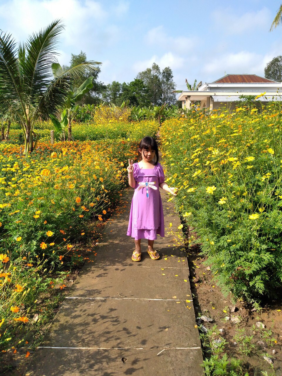 Ngày đầu xuân chùa An Hương, An Giang
