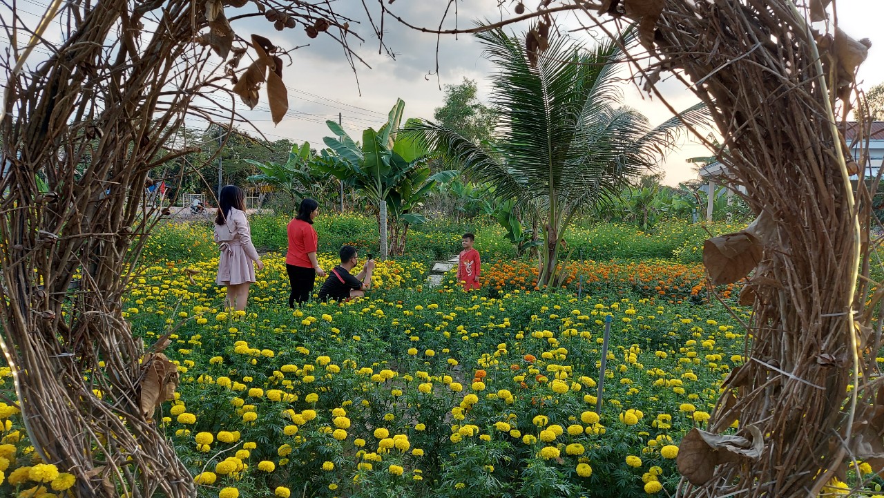 Ngày đầu xuân chùa An Hương, An Giang