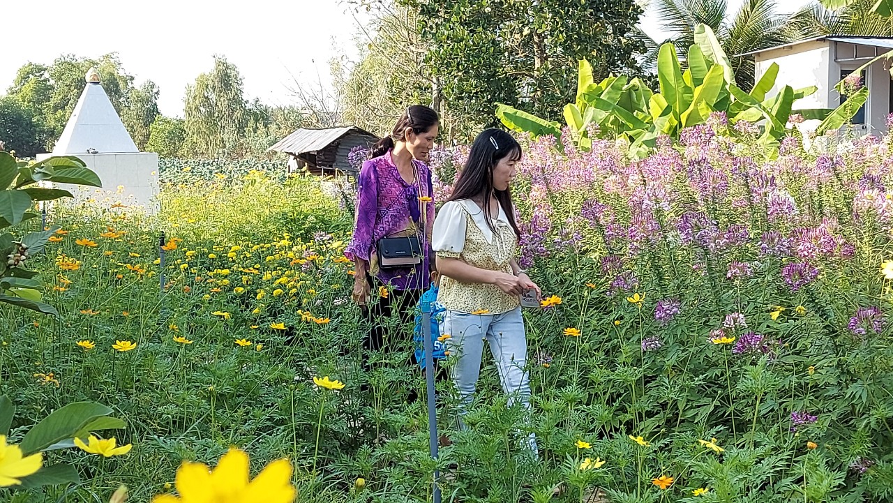 Ngày đầu xuân chùa An Hương, An Giang