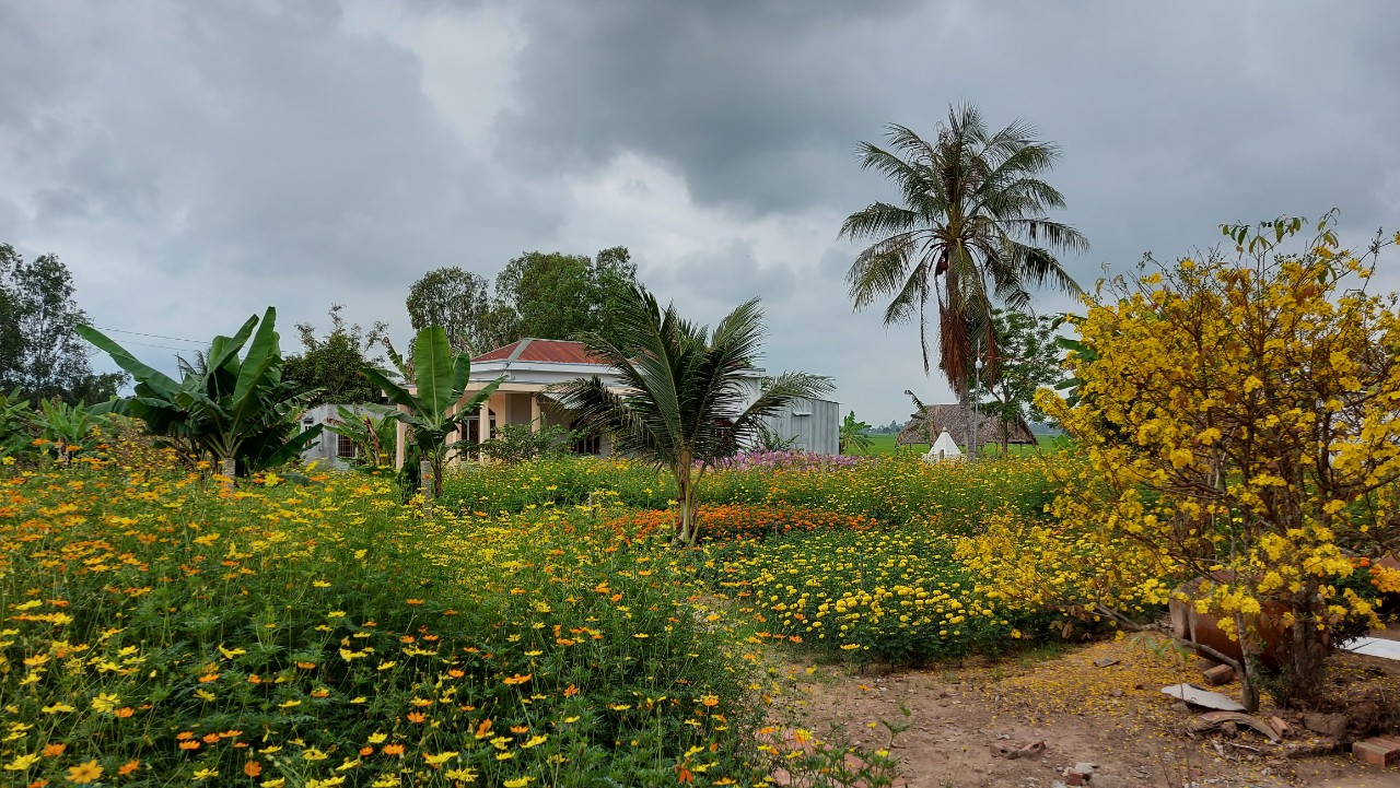 Ngày đầu xuân chùa An Hương, An Giang
