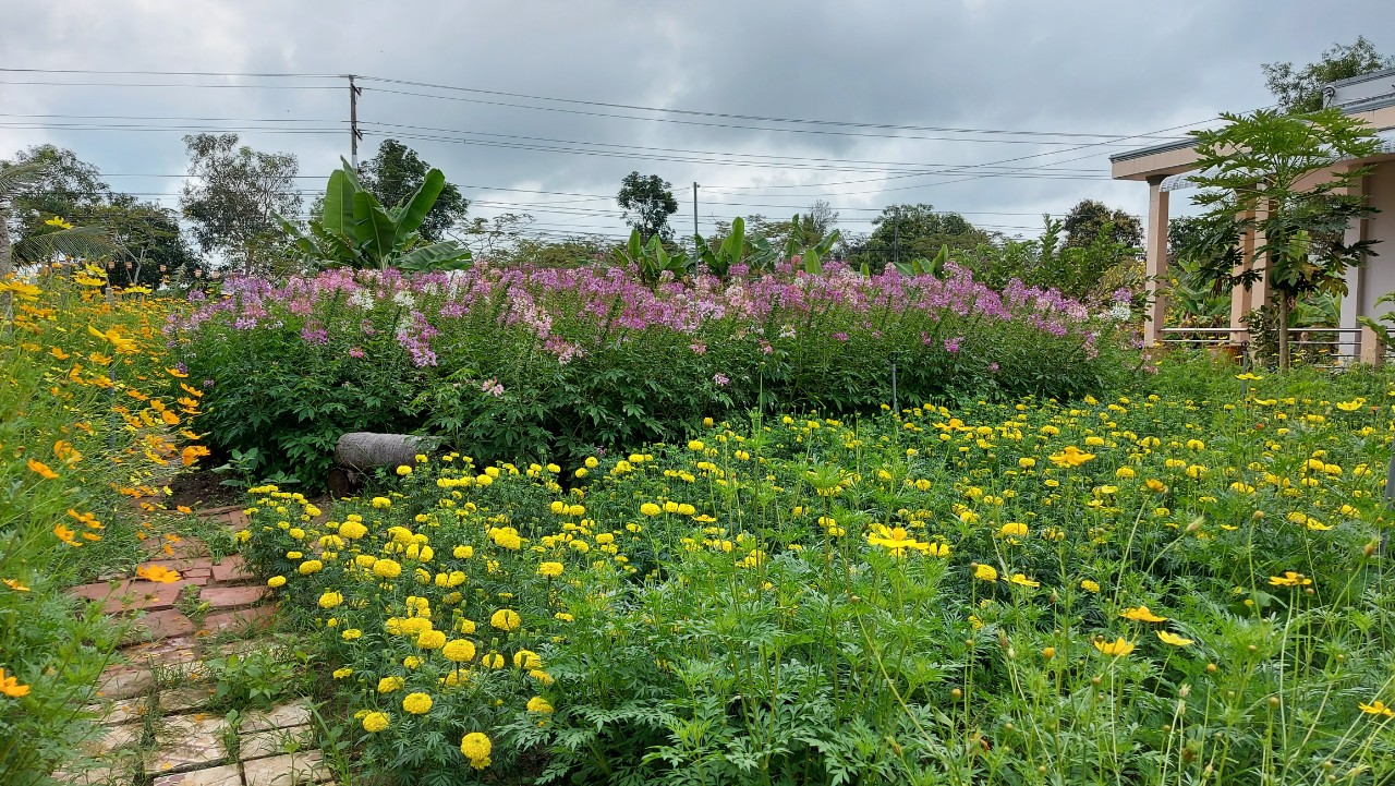 Ngày đầu xuân chùa An Hương, An Giang