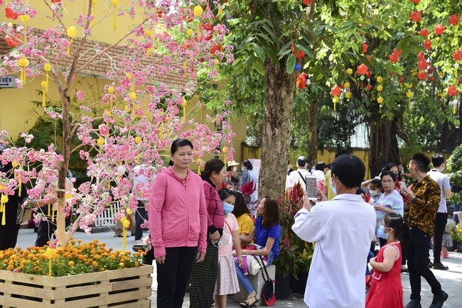 Series of photos on the second day of Lunar New Year