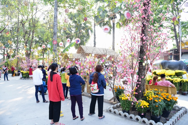 Series of photos on the second day of Lunar New Year