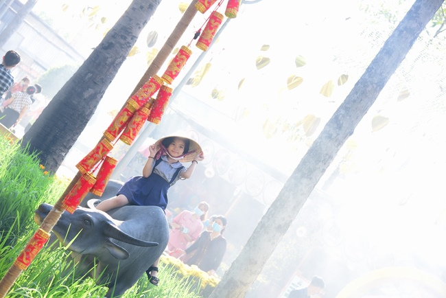 Series of photos on the second day of Lunar New Year