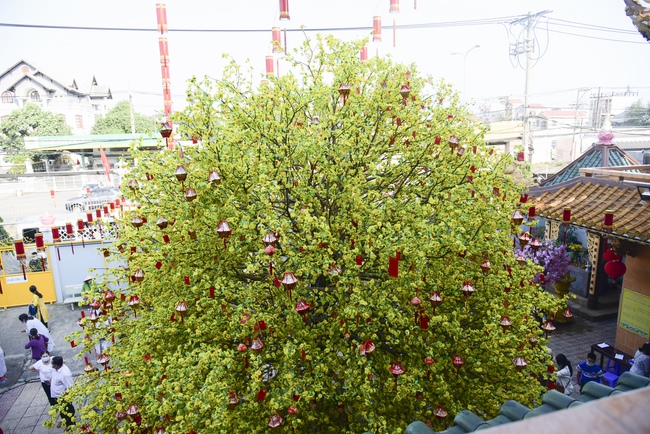 Pilgrimage, kowtow Buddha, offering at the beginning of the year