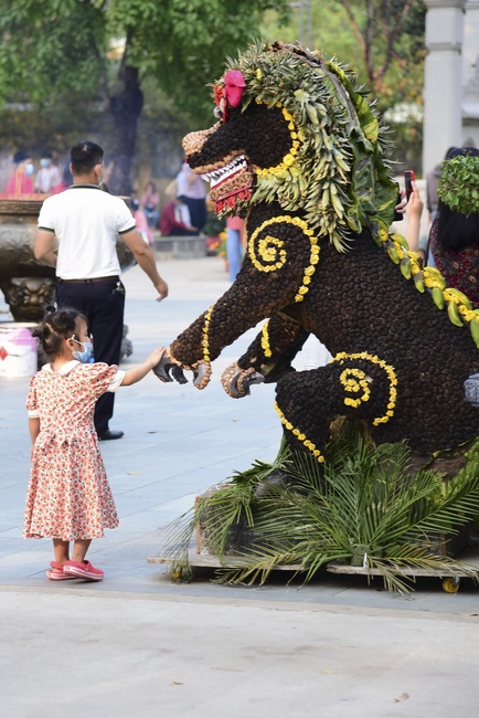 Series of photos on the third day of Lunar New Year
