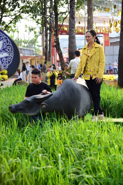 Series of photos on the third day of Lunar New Year