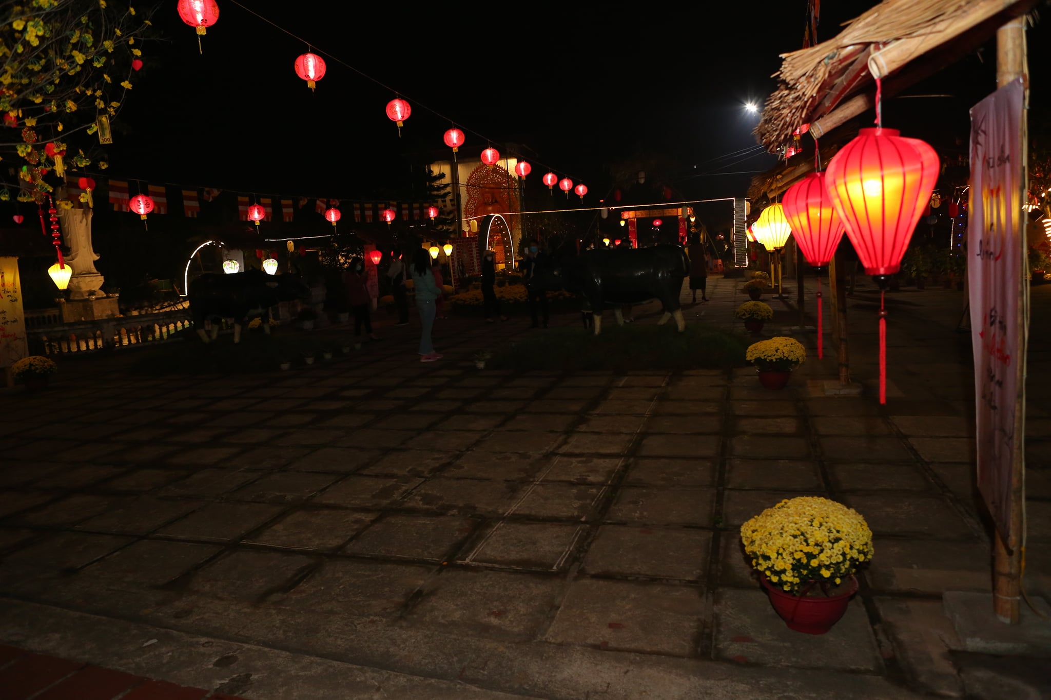 Welcoming the New Year's Eve at Dong Cao Pagoda - Thanh Hoa