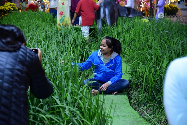 Series of photos on the 4th day of Lunar New Year