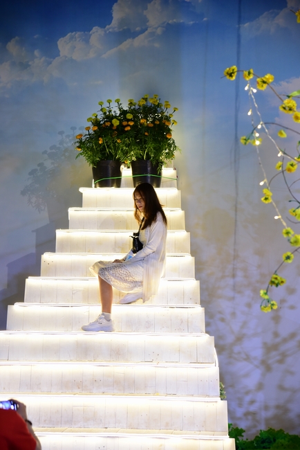 Series of photos on the 4th day of Lunar New Year