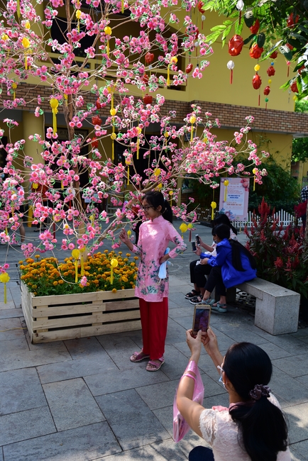 Series of photos on the 4th day of Lunar New Year