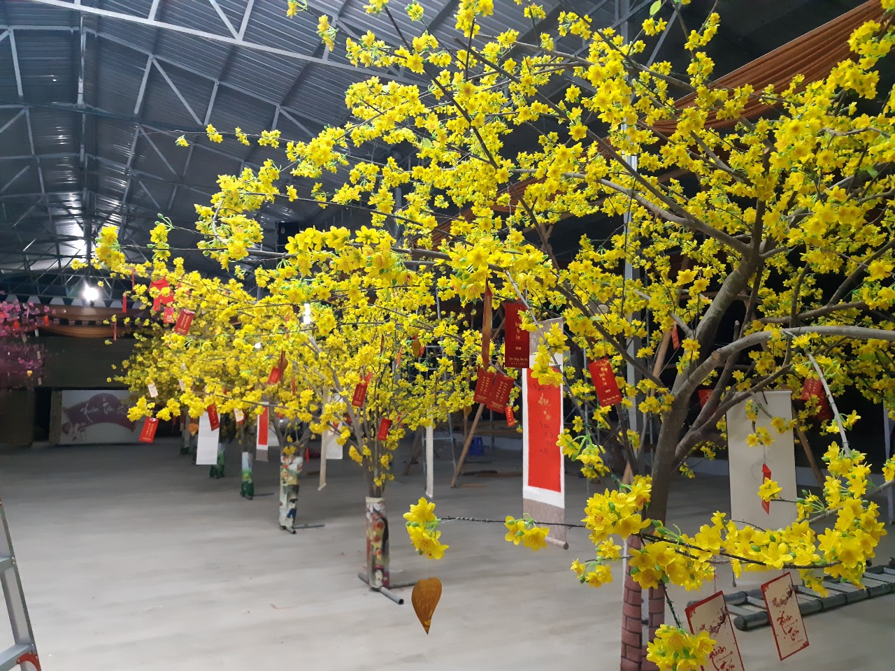 Spring day at Cambodia Hoang Phap pagoda.