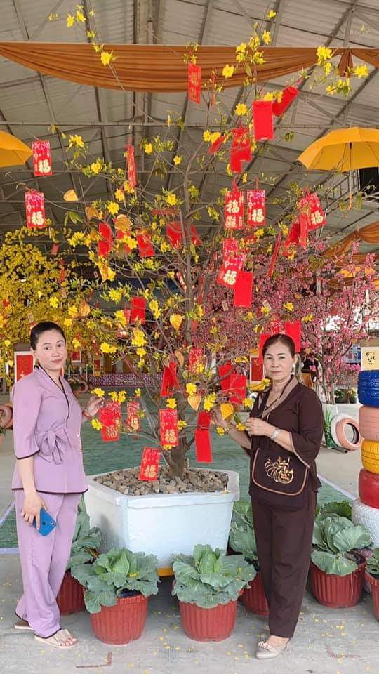 Spring day at Cambodia Hoang Phap pagoda.