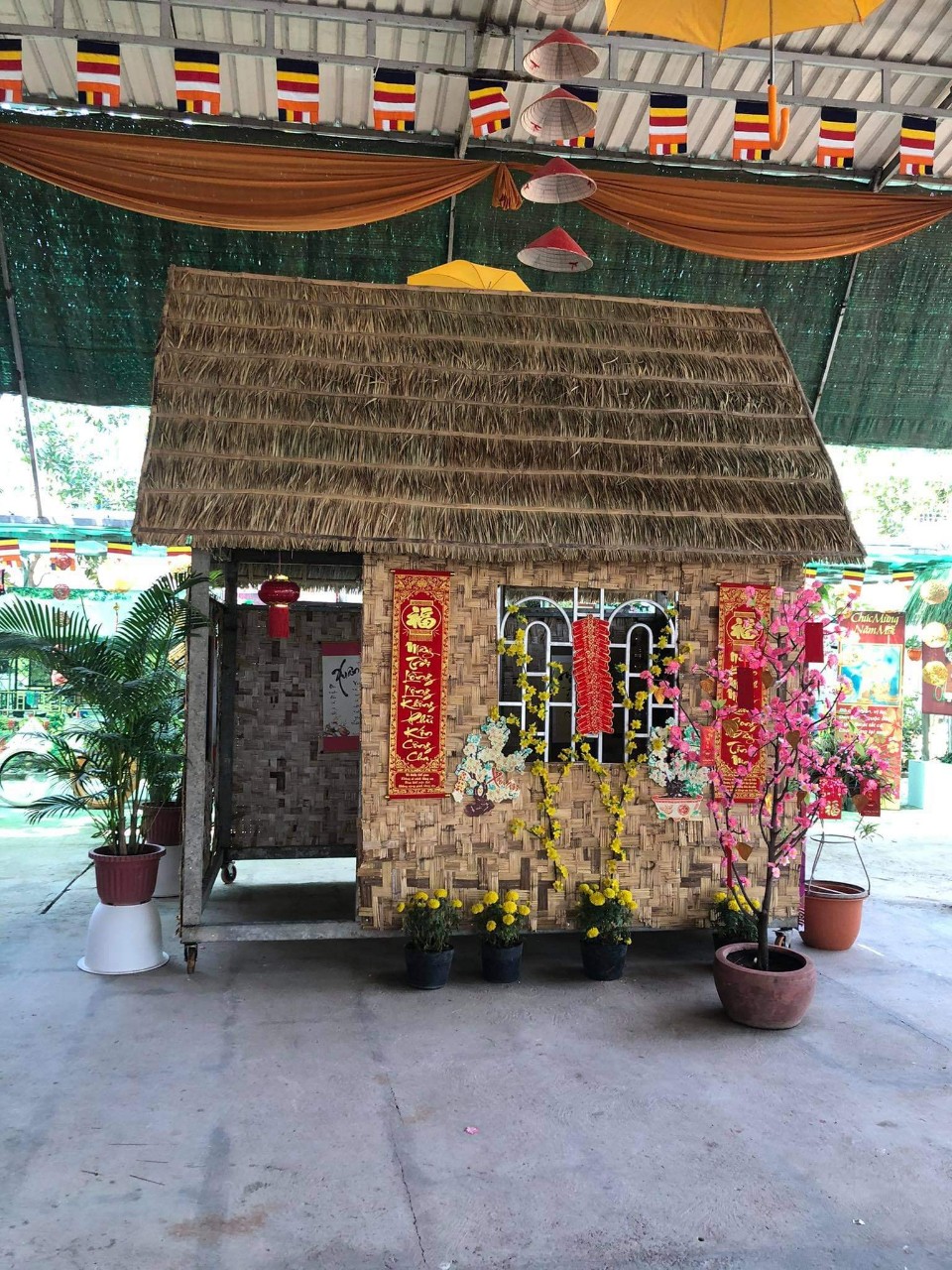 Spring day at Cambodia Hoang Phap pagoda.
