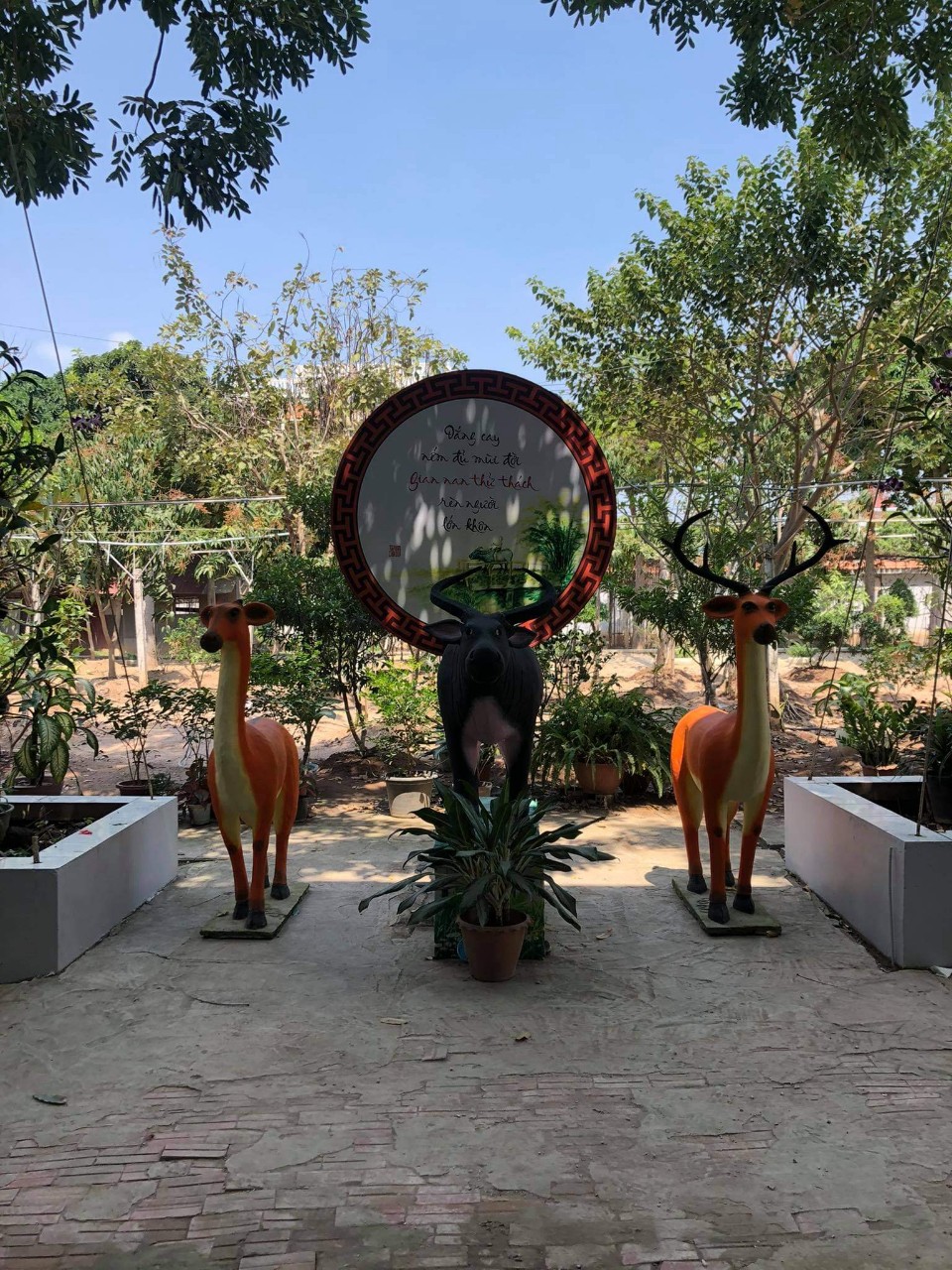 Spring day at Cambodia Hoang Phap pagoda.