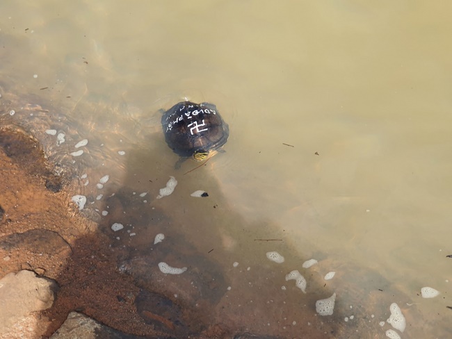 Charity in Binh Phuoc