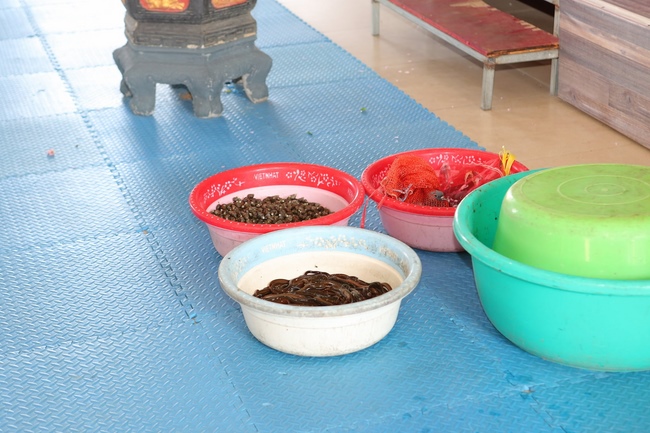 The Ceremony Praying for Peace in the New Year at Dong Cao Pagoda (internality) in Thanh Hoa.