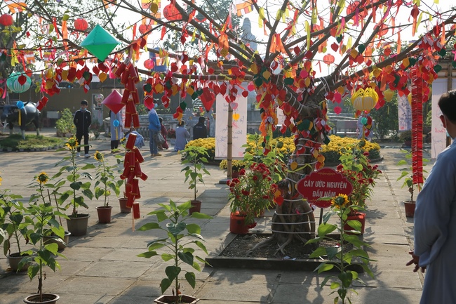 The Ceremony Praying for Peace in the New Year at Dong Cao Pagoda (internality) in Thanh Hoa.