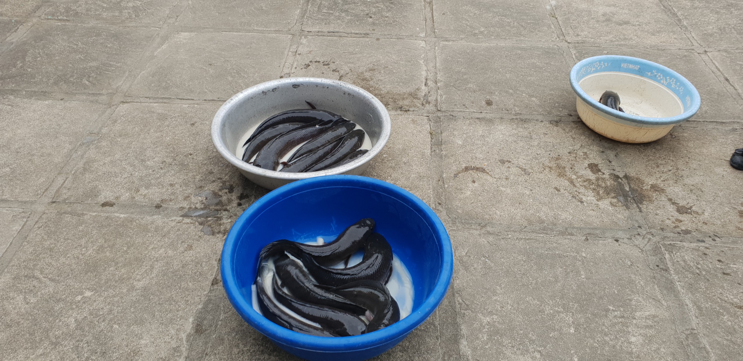 One-day Retreat at Dong Cao Pagoda.