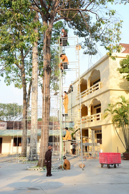 Series photos of preparing for the New Year of Buffalo (part 3)