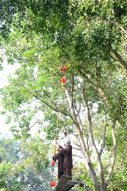 Series photos of preparing for the New Year of Buffalo (part 3)