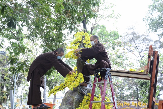 Series photos of preparing for the New Year of Buffalo (part 3)