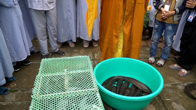 The Rite Wishing Longevity for the Elderly in Yen Phap ashram