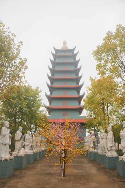 Brotherhood is the most valuable