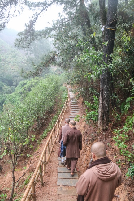 Brotherhood is the most valuable