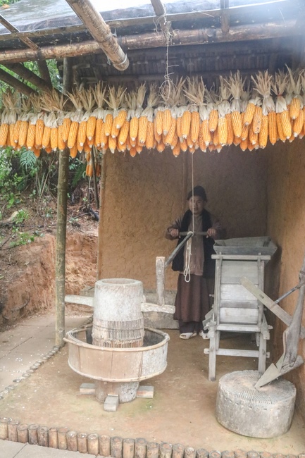 Brotherhood is the most valuable