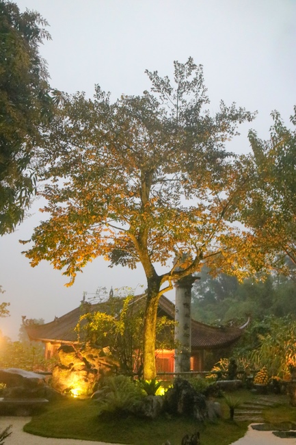 Brotherhood is the most valuable