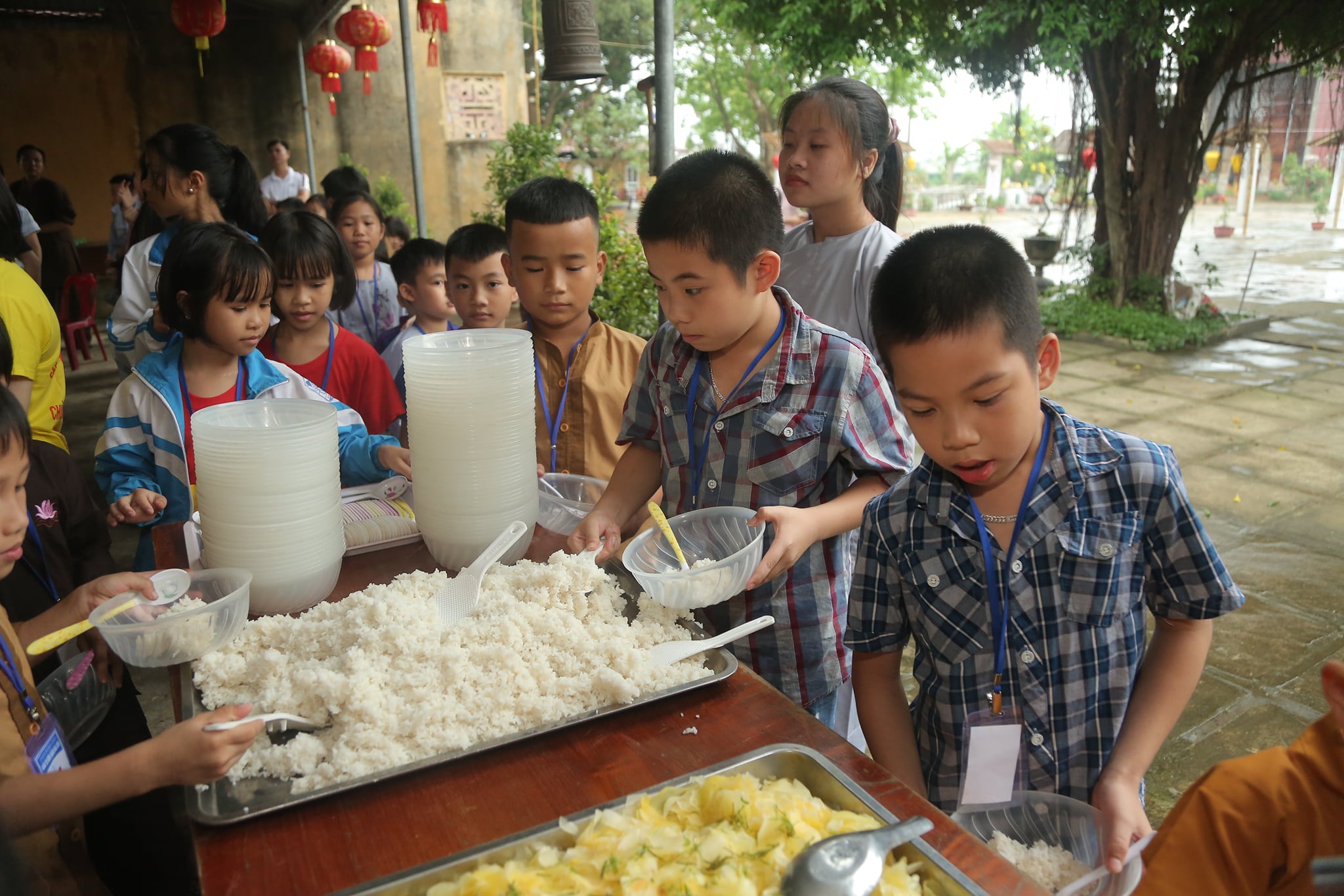 The retreat Sowing seeds lotus at Dong Cao Pagoda
