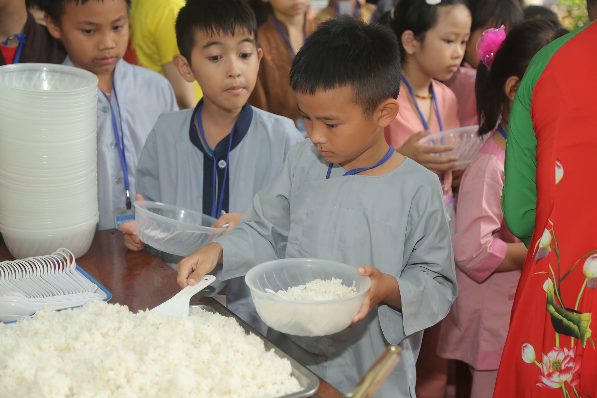 The retreat Sowing seeds lotus at Dong Cao Pagoda