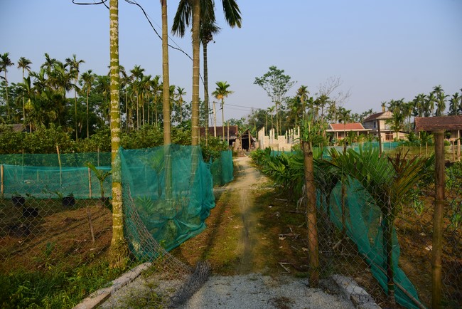 Tặng quà ở Lai Thành, Thừa Thiên Huế