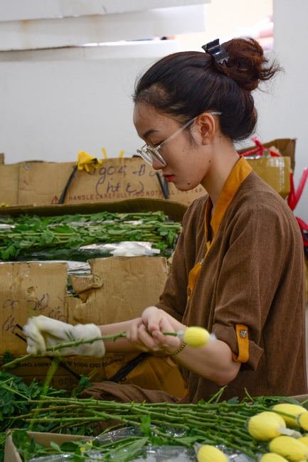 Preparing for the Great Ceremony of Buddha's Birthday 2021 (part 3)