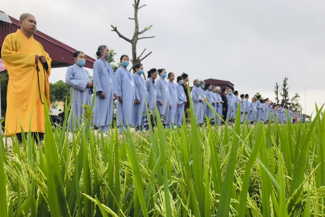 One - Day Retreat at Dong Cao pagoda